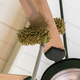 Illustration for article titled Spring (Cleaning) Came Early This Year, These Tools Can Help